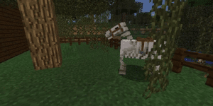 Horse In Minecraft -4